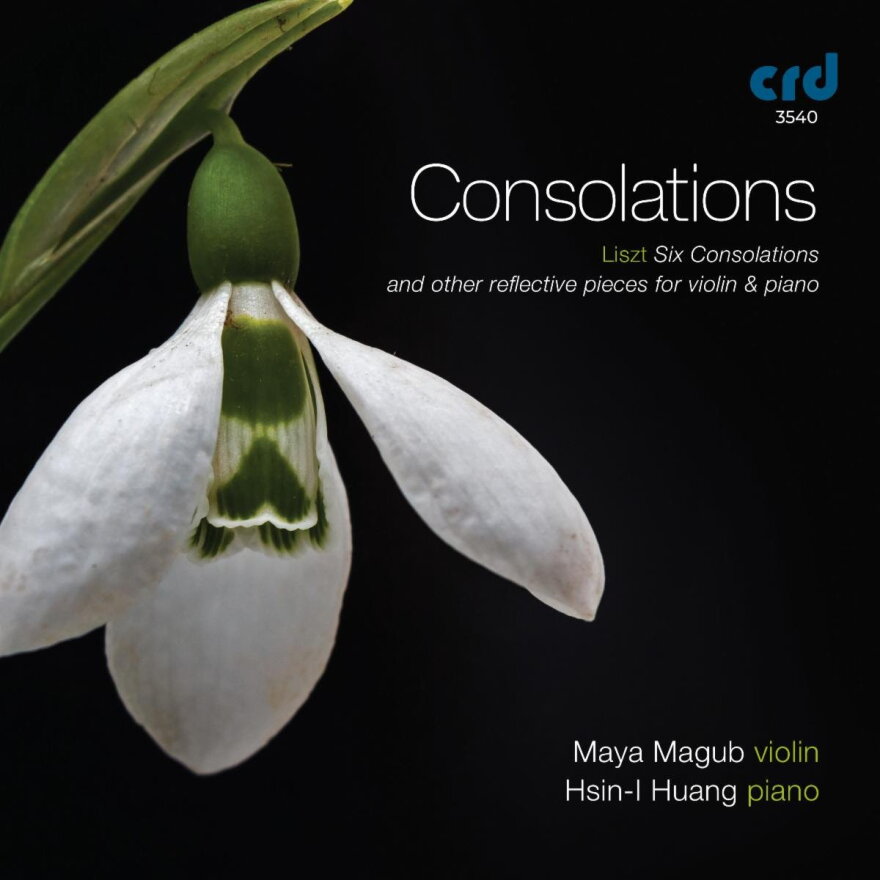 Cover of Consolations by Maya Magub