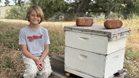 9-year-old West Lang is a winner of an Environmental Stewardship award for his actions in rescuing a swarm of bees at his school