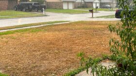 Pictured is dead grass at a home in the Houston area.