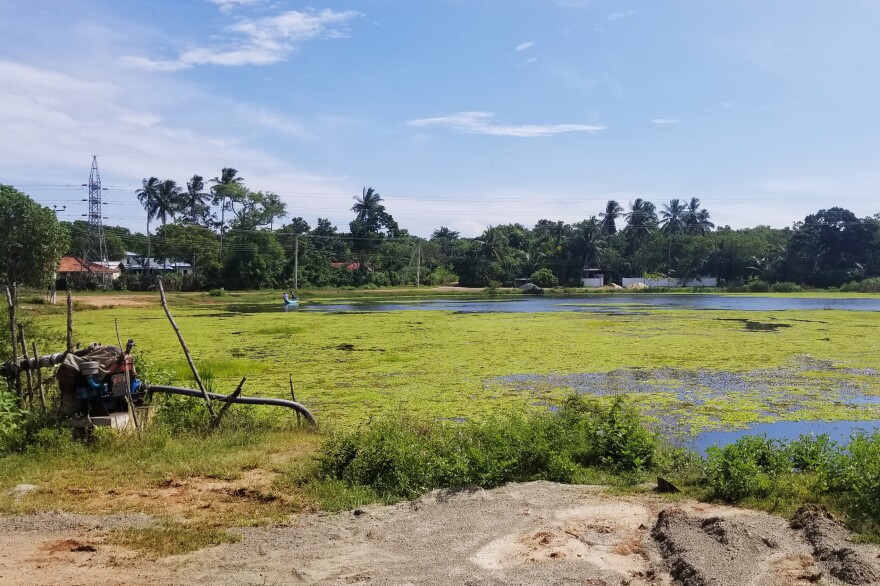 Farmers near this freshwater lake have refused to sell their land to make way for a Chinese industrial zone in Hambantota, Sri Lanka.