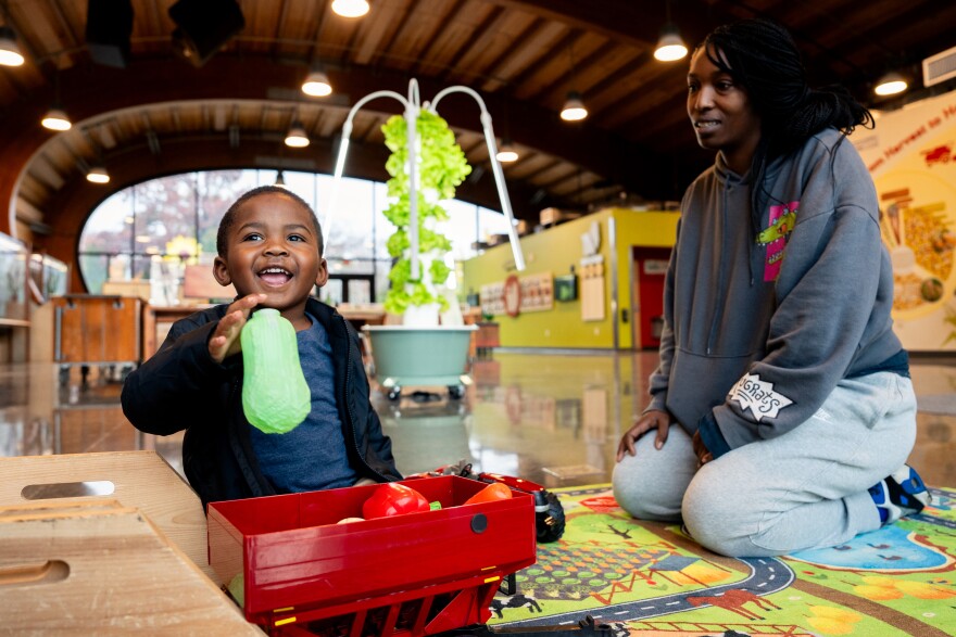Daija Mister, right, plays alongside her son Jayden, 3, both of St. Ann, in “The Grow Agriculture Pavilion” designed by Acturis and HOK Founder Gyo Obata on Monday, Nov. 18, 2024, at the St. Louis Science Center.