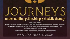Poster for the documentary 'Journeys'