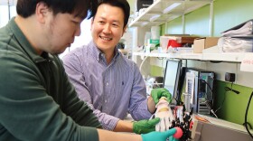 Using a robotic hand, Jinwook Baek (left), postdoctoral research assistant, and Sunghwan Lee, assistant professor of engineering technology, examine how a flexible and wearable sensor could be used to monitor health information and manipulate a small object (ball).