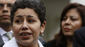 Clarissa Martinez de Castro of the National Council of La Raza talks to reporters after meeting with President Obama to discuss comprehensive immigration reform.