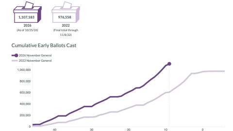 A graphic detailing the early voting turnout so far this year.