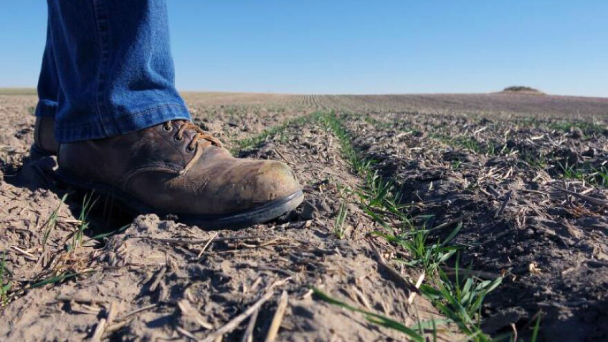 Why droughts are so stubborn to get rid of - Vimarsana News