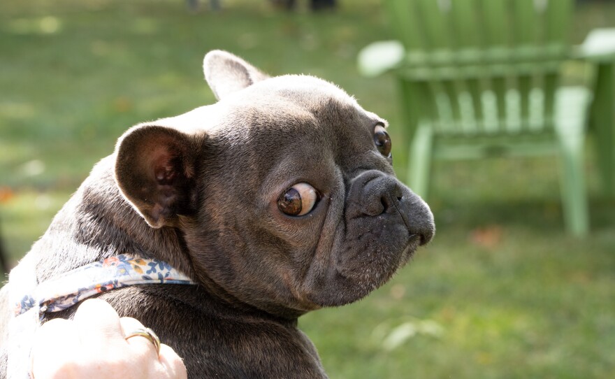 Attendee at Wagner Subaru Outdoor Experience on Saturday, October 7, 2023 in Dayton, Ohio. (Ruthie Herman for WYSO)