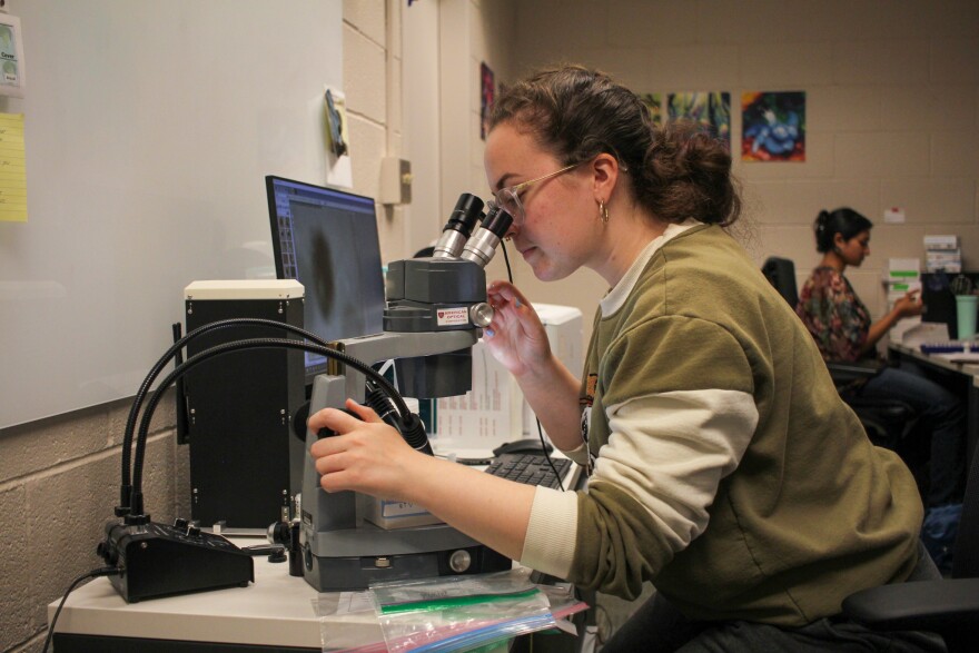 A young woman looks through a microscope in a small room. 