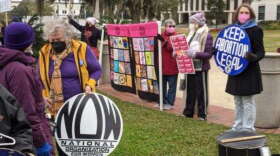 Demonstrators gathered in front of the Historic Capitol to show their support for the 1973 U.S. Supreme Court decision. (Tom Flanigan/WFSU)
