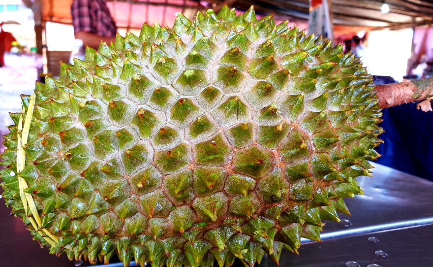 Stinking Rich Malaysia Aims To Cash In On China S Durian Craze
