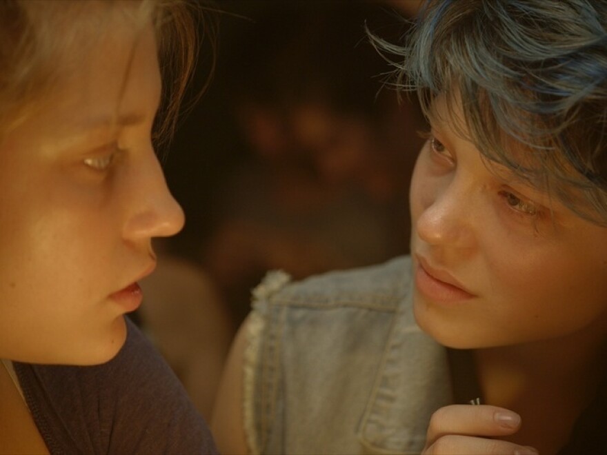 French film <em>Blue Is the Warmest Colour</em>, winner of the Palme d'Or at the 2013 Cannes Film Festival, tells the story of a teenager named Adele (Adele Exarchopoulos) who falls in love with a blue-haired art student named Emma (Lea Seydoux).