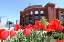 Busch Stadium