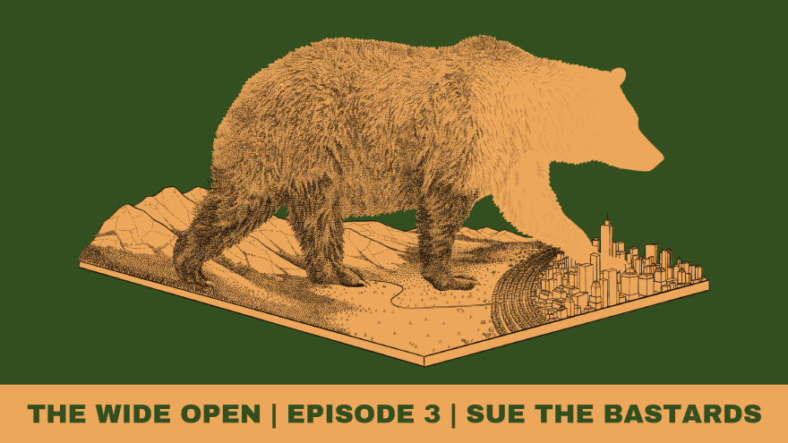 The Wide Open Episode 03: Sue the Bastards