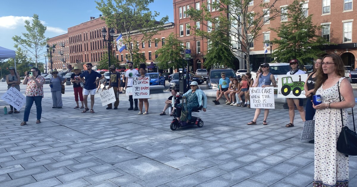 Farmers rally at NH State House to decry federal cuts, ask for more local support