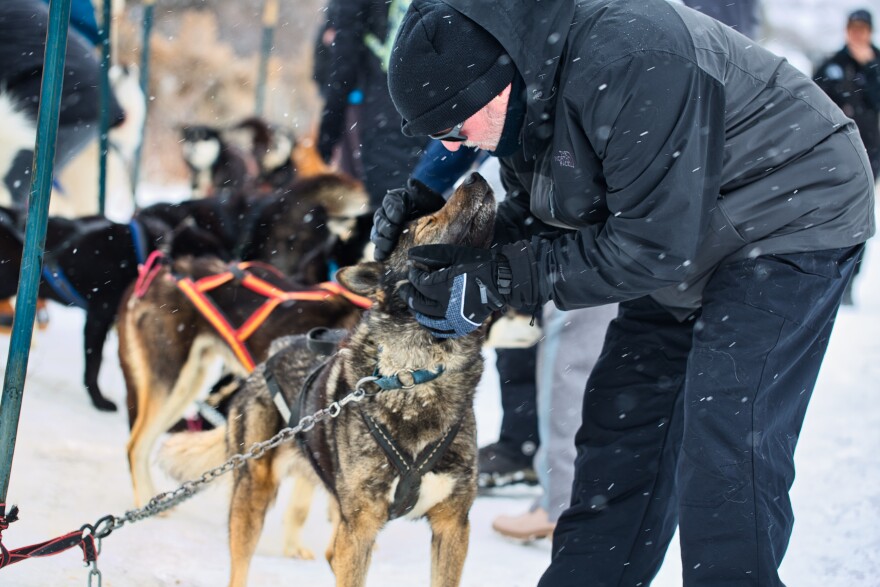 Brown dog gets pets from a man in the snow.