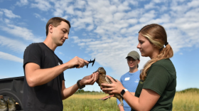 A man holds a caliper up to a duck being a held by a woman with another person standing behind them. They are all outside on a sunny day.