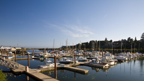 Boats sit in slips at the Port of Brookings Harbor under a clear blue sky.