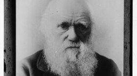 Charles Darwin