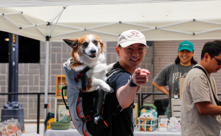 A pet owner carries their dog in a backpack at Pet Party in San Jose.
