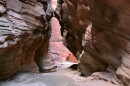 Bucksin Gulch