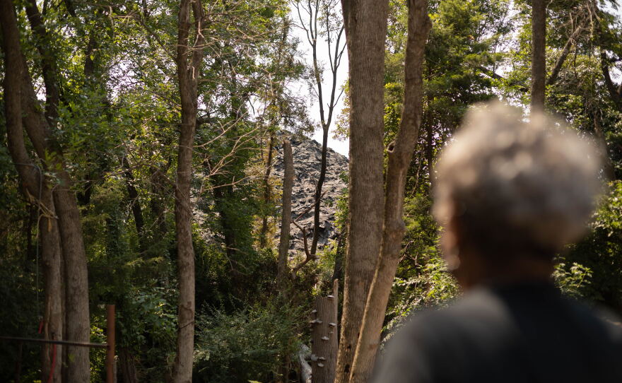 Dallas resident Marsha Jackson's back is turned from the camera. She's looking at Shingle Mountain, a massive pile of shingles and roofing materials that lies next door to her home.