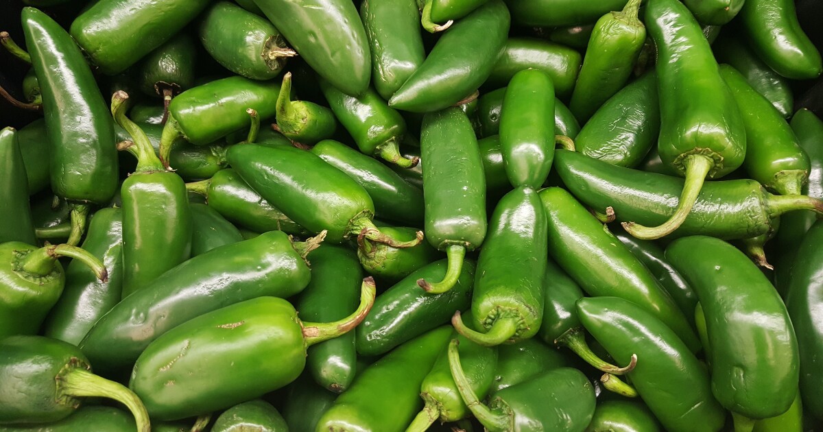 Fresh jalapeños recalled due to salmonella outbreak in 27 states, including Texas Fresh jalapeños recalled due to salmonella outbreak in 27 states, including Texas