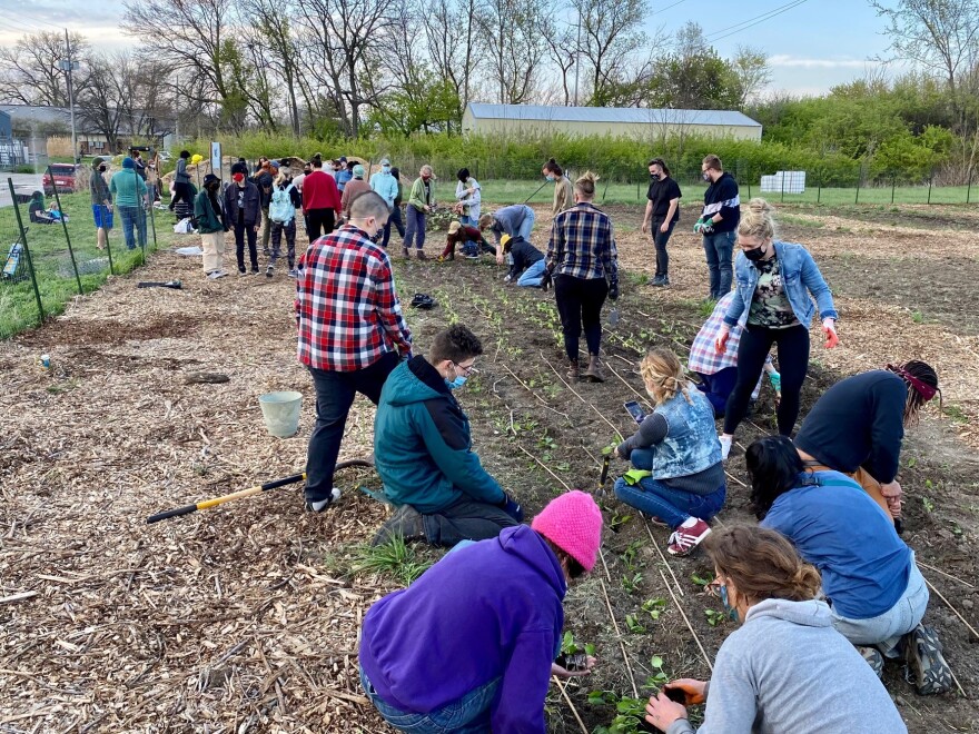 Volunteers started planting vegetables in April in a community garden run by the Des Moines Black Liberation Movement.