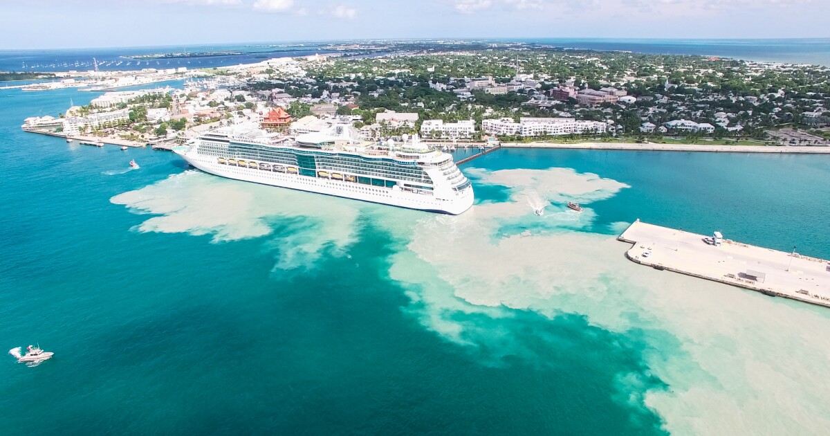 Florida muddies water on rule to protect coral WUSF