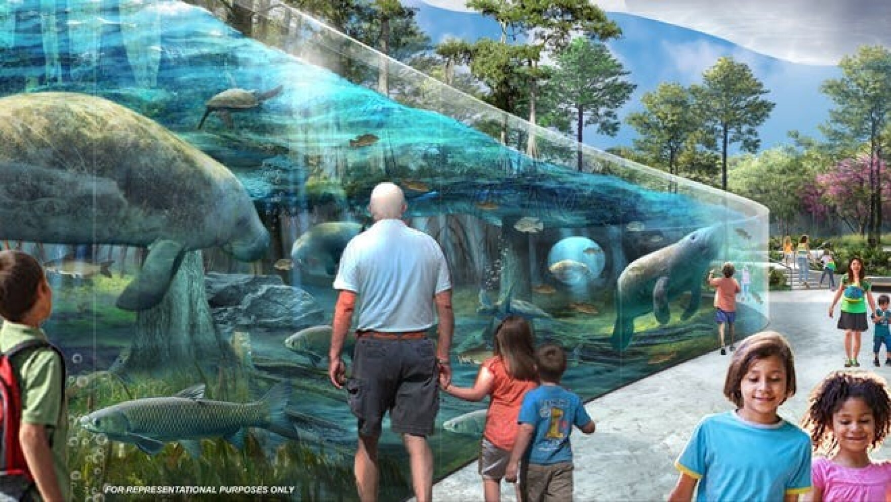 Jacksonville Zoo looks to add new manatee, lion exhibits in 50 million