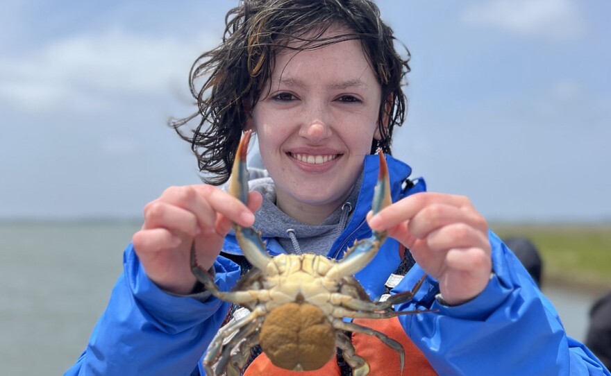 A William & Mary student holds a crab. Demand for undergrad marine science courses has tripled since 2019.