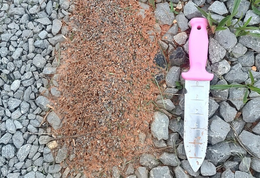 A mound of hybridized fire ants on a gravel. Beside them is a knife with a pink handle.