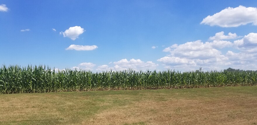 The Purdue University survey of 400 farmers found that one-third of producers are worried that input costs will go up more than four times as rapidly in the upcoming year.