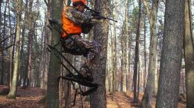 Indiana passed a constitutional amendment to protect a Hoosierâ€™s right to â€œhunt, fish, and harvest wildlife.â€