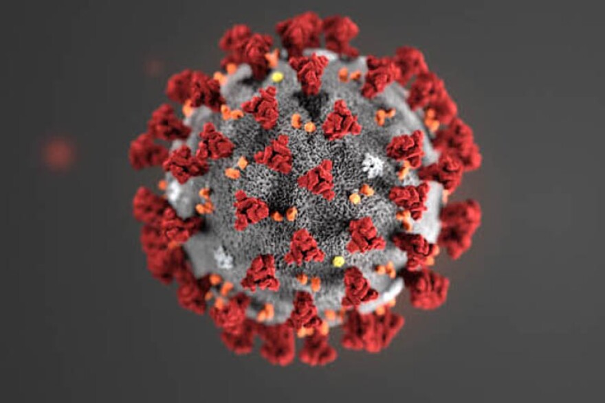 Novel coronavirus (2019-nCoV)
