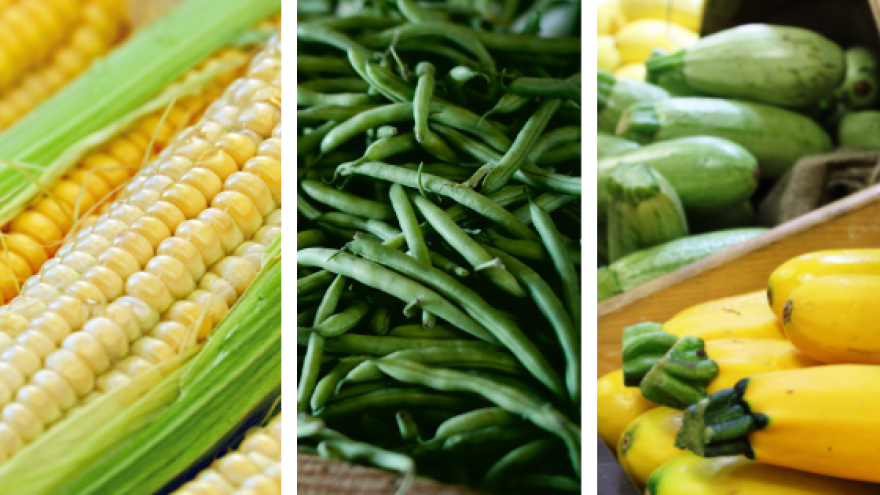 In reality, regenerative farming has been practiced in this country for many hundreds of years, by many indigenous cultures, long before the wave of Western industrial agriculture. Ever heard of Three Sisters Crops? If not, you should look it up and try it in your garden.