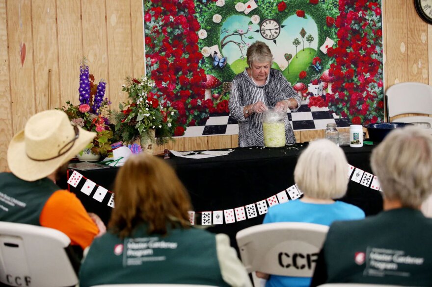 Margaret Viebrock, director of WSU Chelan and Douglas County Extension, leads a sauerkraut seminar at the Chelan County Fair in Cashmere.