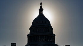 The U.S. Capitol in silhouette 