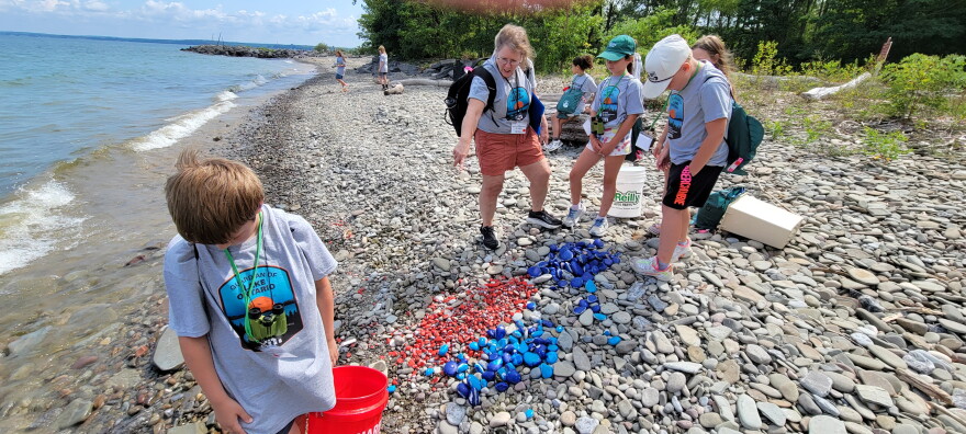 Guardians of Lake Ontario summer campers place colored rocks at the shoreline to study erosion.