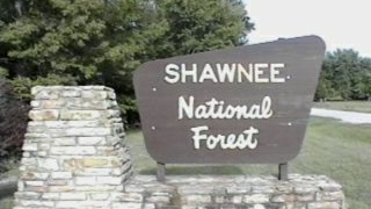 Illinois environmental groups ask for the public's support in protecting the Shawnee Forest's roadless areas