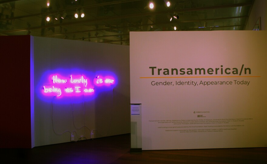 "Transamerica/n: Gender, Identity, Appearance Today" is an exhibition at the McNay Art Museum.