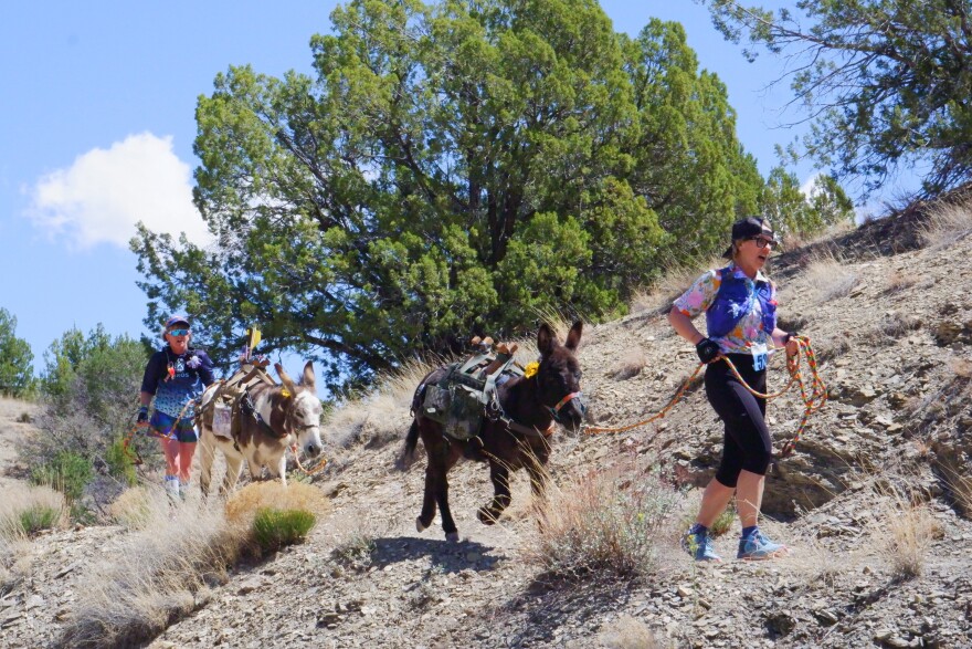 Michelle Sroda of Parker, CO (right) and Lisa Kazmar of Edgewood lead their burros around a narrow bend in Cerrillos Hills State Park
