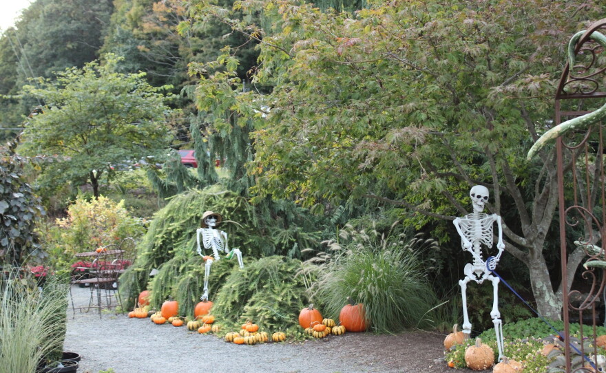 The Pumpkin Walk at Creekside Gardens gets visitors ready for Halloween with many of their ghoul-themed decorations.