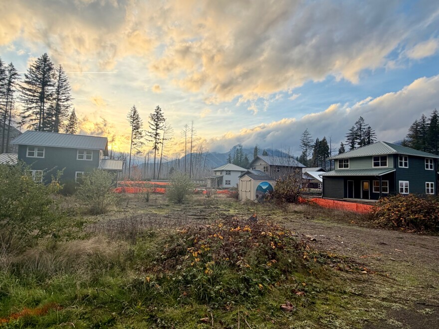 Houses in new Rose Street Neighborhood.