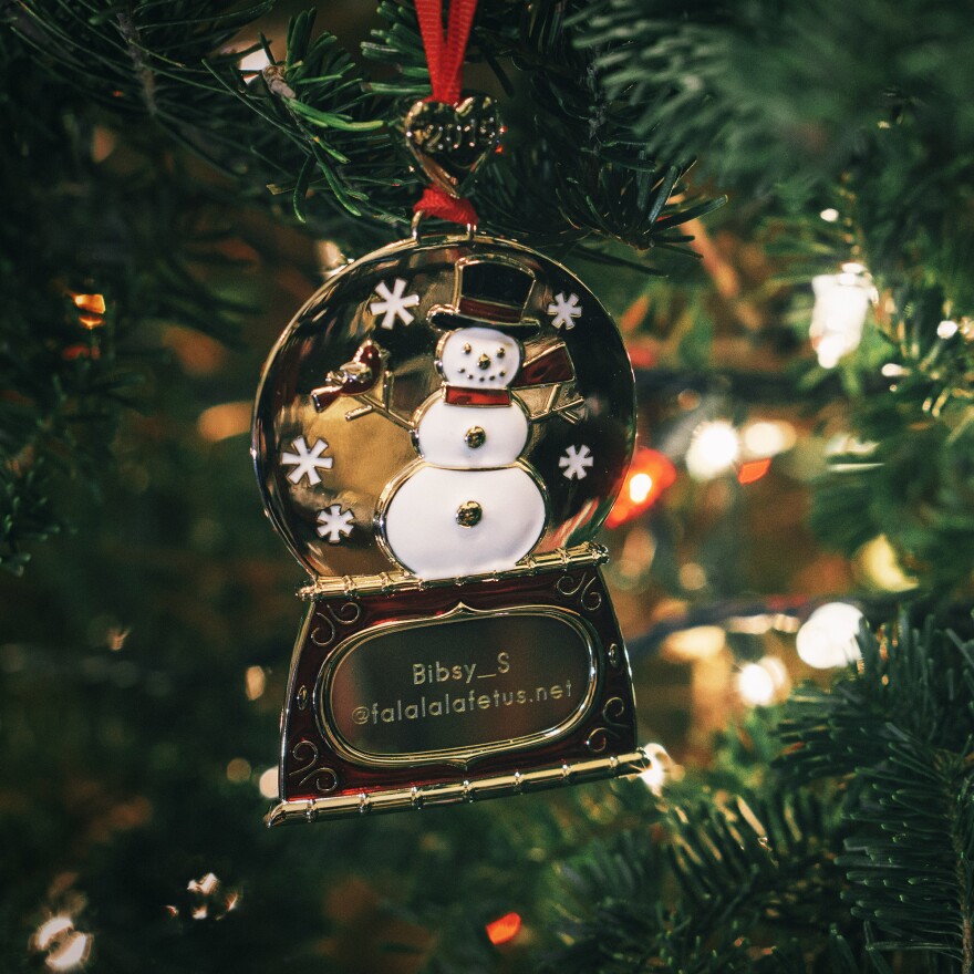 Kaitlin Stevenson's ornament