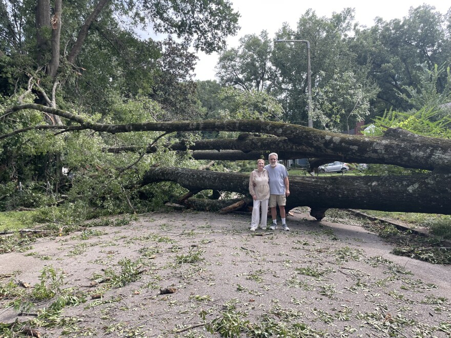 WKNO host Darel Snodgrass and his wife Judy stand in front of the enormous tree that fell during Saturday's storm, entirely blocking the only entrance to their street near the University area of Memphis.