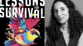 Emily Raboteau wrote the new essay collection "Lessons for Survival: Mothering Against 'The Apocalypse.'" (Courtesy)