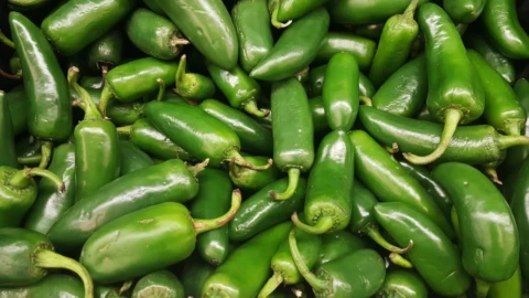 The Food and Drug Administration says products with jalapeños distributed by Taylor Foods could be contaminated with salmonella.