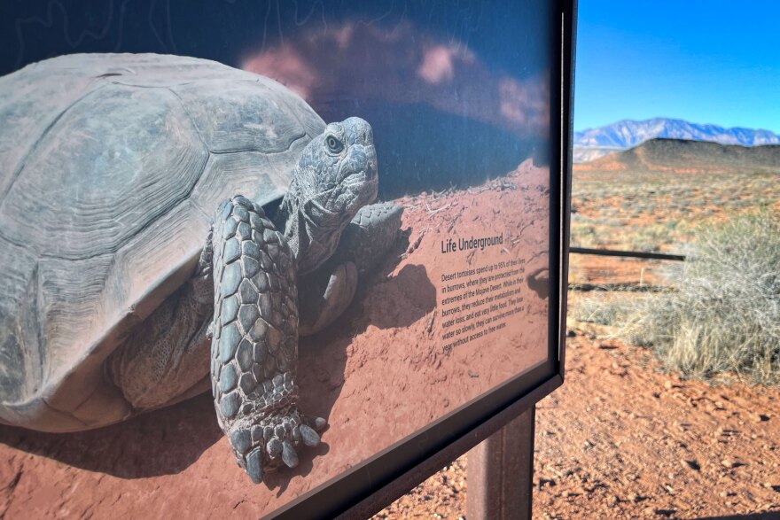 A sign educates visitors about the Mojave Desert tortoise near a trailhead at the Red Cliffs National Conservation Area, Oct. 7, 2025.