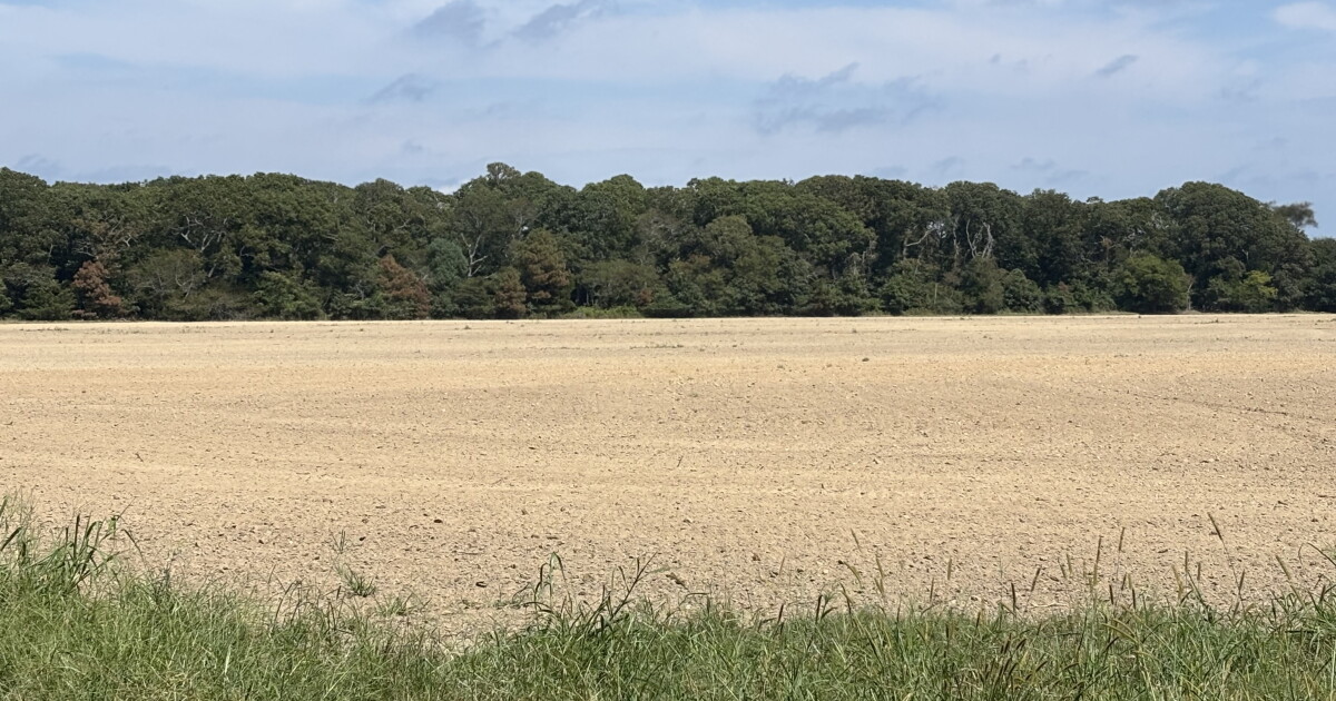 Eastern Shore woman files state complaint over pesticide exposure from neighboring farm