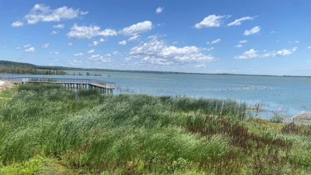 Nine artists participating in the University of Illinois Springfield’s Artist in Residence program at the Therkildsen Field Station at Emiquon will unveil works inspired by the preserve on Aug. 23.